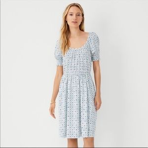Ann Taylor Geo Shirred flare Dress - cottagecore style